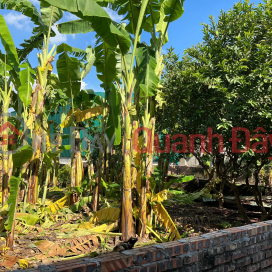 BÁN ĐẤT 3 thoáng MẶT PHỐ, PHÚ VIÊN, BỒ ĐỀ ,LONG BIÊN 110m², MẶT TIỀN 7m – GIÁ 21 TỶ _0