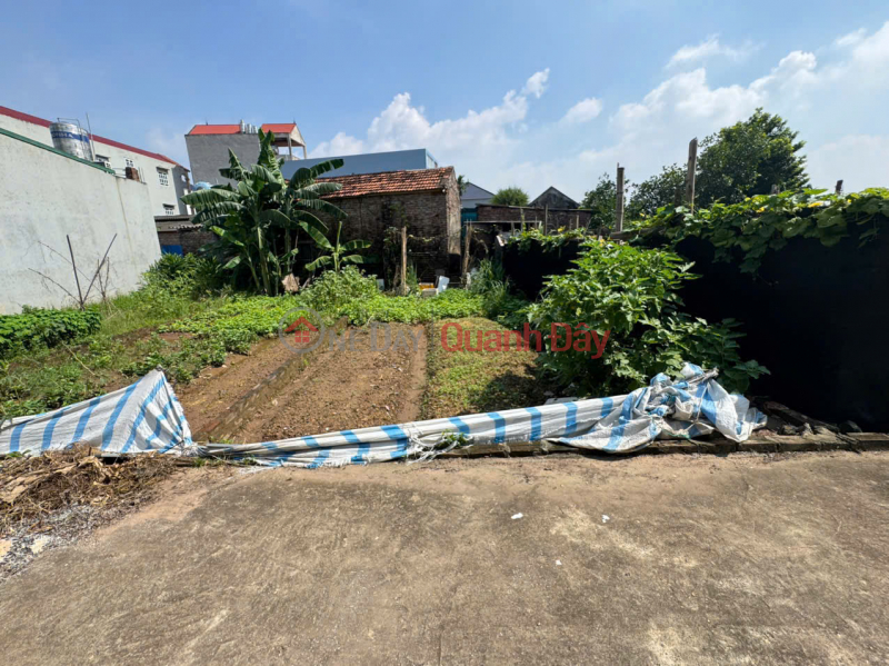Bán đất thổ cư Thôn Do Hạ, Tiền Phong, ML - Ô tô đỗ cửa, tiện ích bao quanh | Việt Nam, Bán đ 3,25 tỷ