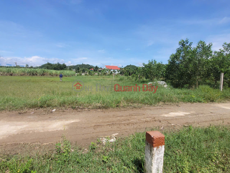 Property Search Vietnam | OneDay | Residential, Sales Listings, Beautiful land plot for quick sale by owner in Dien Tan, price only 2.6 million\\/m, nearly 70m from HL62