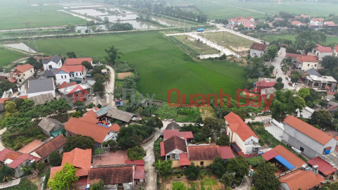 Đất Đẹp - Giá Tốt - Đầu Tư Sinh Lời Ngay Tại Thọ Văn, Tam Nông, Phú Thọ - Vị trí đắc địa _0