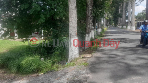 BEAUTIFUL LAND - GOOD PRICE - Own Land Lot 2 Fronts Location In Thanh Phu - Ben Tre _0