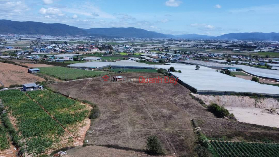 đ 5.5 Billion | BEAUTIFUL LAND - GOOD PRICE - Owner Needs to Sell Quickly 2 Adjacent Land Lots in Ka Don Commune, Don Duong, Lam Dong