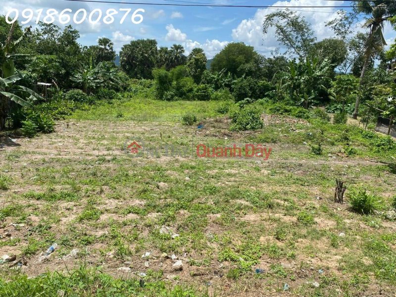 OWNER FOR URGENT SALE OF 800m2 Residential Land At HL6, An Cu, Tinh Bien Town, An Giang, Vietnam, Sales, ₫ 1.45 Billion