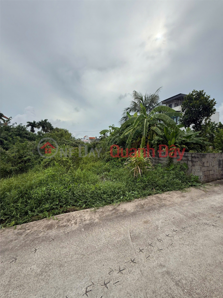 đ 1.68 Billion | 1.6x billion 96m2 Lane 221 Tan Thanh Duong Kinh Zalo 0567222555