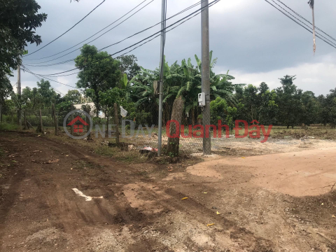 Đất sào (TUANCONGDANG-932683654)_0