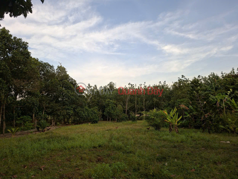  Làm ơn chọn , Niêm yết bán đ 12 tỷ