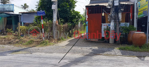 BEAUTIFUL LAND - GOOD PRICE - Selling 2 Beautiful Land Lots In Long Chanh - Go Cong - Tien Giang _0