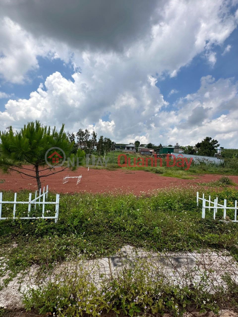 BEAUTIFUL LAND - GOOD PRICE - Owner Urgently Needs to Sell Beautiful Land Lot in Loc Quang Commune, Bao Lam District, Lam Dong Province _0