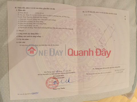 Chính chủ cần bán lô đất đẹp tại khu nhà ở trung tâm thương mại Thủy Sơn - Tiềm năng tăng giá _0