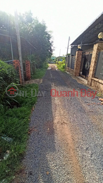 Owner Needs To Quickly Sell Land In Thai Binh Commune, Chau Thanh District, Tay Ninh Vietnam Sales | đ 350 Million