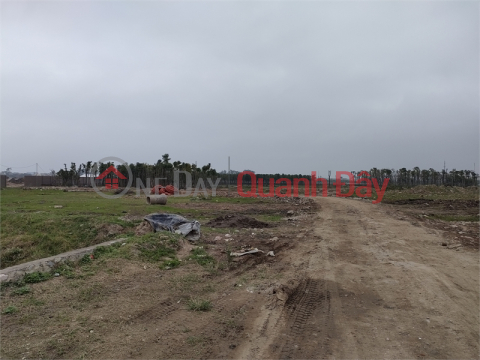 For sale 20,000m2 industrial land for 50 years in Hong An, Hung Ha, Thai Binh _0