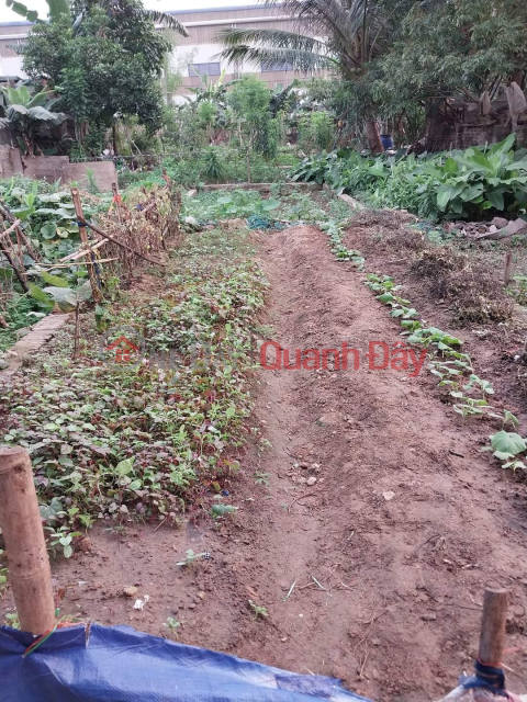 INVESTMENT LAND IN VAN PHUC THANH TRI DISTRICT - WIDE CAR LANE NEXT TO HOUSE - NEAR MARKET SCHOOL, SUPERMARKET, FLOODED FACILITIES _0