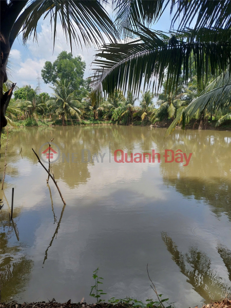 OWNER RENTING OUT A GARDEN HOUSE AT 17\\/1 Giao Thong Hao, Binh Chanh Commune, Binh Chanh District, Ho Chi Minh City | Vietnam Rental đ 4.5 Million/ month