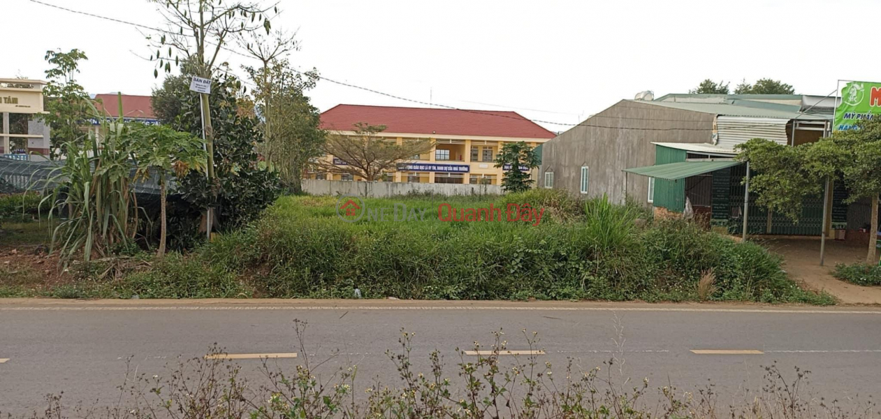 Beautiful Land - Good Price - Owner Needs to Sell Land Lot in Nice Location at Provincial Road 725, Tan Thanh, Lam Ha, Lam Dong Sales Listings
