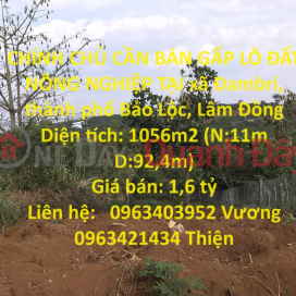 CHÍNH CHỦ CẦN BÁN GẤP LÔ ĐẤT NÔNG NGHIỆP TẠI xã Đambri, thành phố Bảo Lộc, Lâm Đồng _0