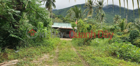 Land for sale on Hoang Phi Yen street, Con Dao, Ba Ria Vung Tau, investment price. _0