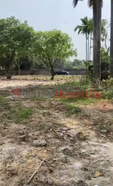 OWNER FOR SELLING 2045M2 OF LAND IN XUAN LINH VILLAGE, THUY XUAN TIEN, CHUONG MY, HANOI AT CHEAP PRICE Sales Listings