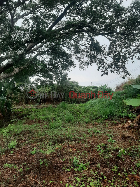 LAND FOR SALE IN BAO LOC - LOC THANH - LAM DONG - 0984967076 _0