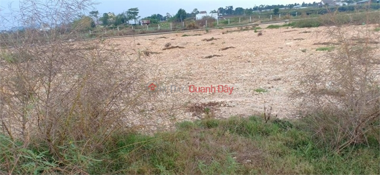 Property Search Vietnam | OneDay | Office / Commercial Property, Sales Listings, Selling 7000m2 of land, warehouse and factory for 50 years in Nhu Quynh, Van Lam, Hung Yen province