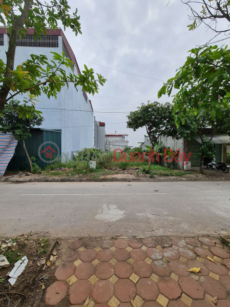 234m2 KĐG 31ha Trâu Quỳ Gia Lâm MT 12m đường 15m giá 3x tỷ 0989894845 Việt Nam, Bán, đ 33,99 tỷ