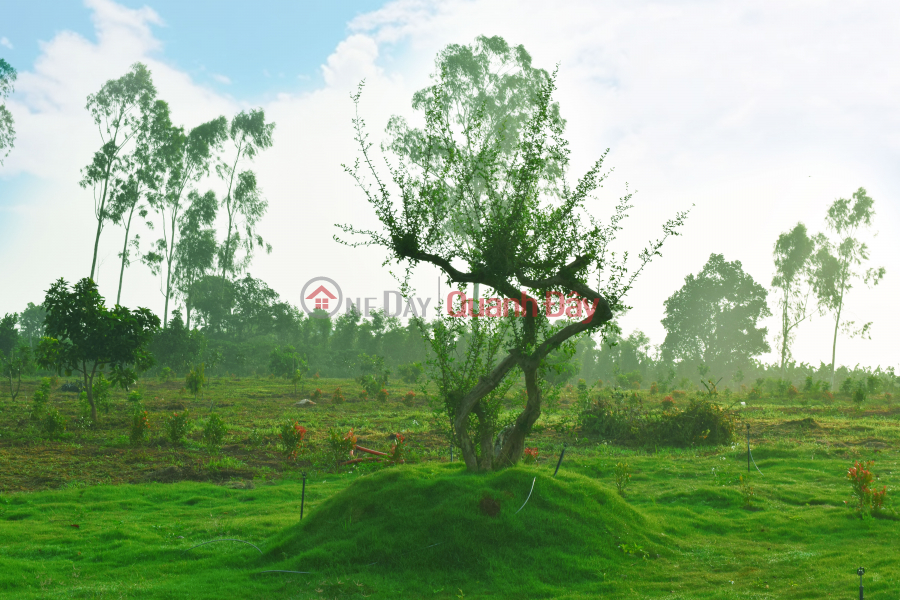 Property Search Vietnam | OneDay | , Sales Listings Forest garden land has residential area from only 1.1 million/m2