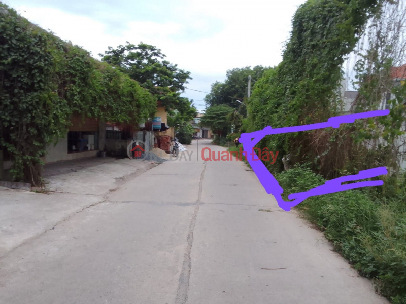 Property Search Vietnam | OneDay | Residential, Sales Listings | Consignment for sale of 100m2, 5m square meter, 2x million\\/m2, bottom dike surface at Lam Dien, Chuong My, Hanoi, bypass car, business