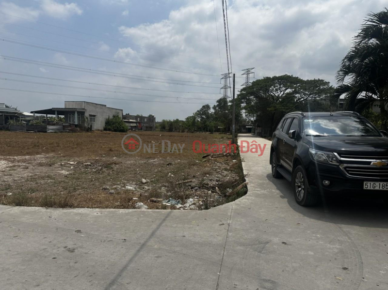 BEAUTIFUL LAND - GOOD PRICE - Owner Needs to Sell Land Quickly in Duc Hoa Dong Commune, Duc Hoa, Long An Sales Listings