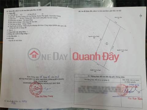 Owner Quickly Sells 2 Plots of Land in Tuong Area - Cua Duong - Phu Quoc - Kien Giang _0