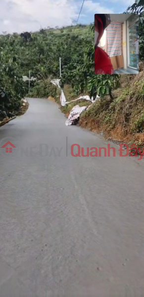 Property Search Vietnam | OneDay | Residential, Sales Listings | BEAUTIFUL LAND - GOOD PRICE - Land Lot For Sale Prime Location In Loc Thanh Commune, Bao Lam District, Lam Dong