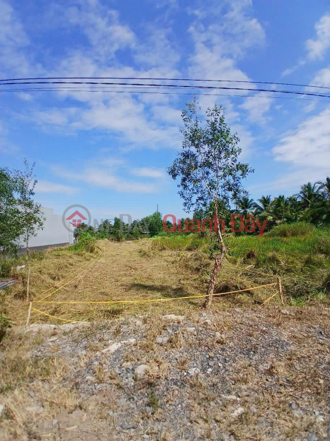 PROFITABLE INVESTMENT - OWNER Needs to Sell a Lot of Land Fronting Rach Vong Canal, Luong Hoa Commune, Ben Luc, Long An _0