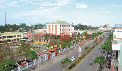 Land for sale in the center of Ai Nghia town _0