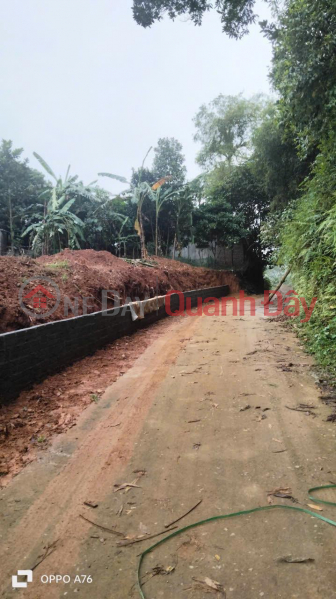 Property Search Vietnam | OneDay | Residential Sales Listings BEAUTIFUL LAND - GOOD PRICE - Need to Sell Quickly 2 Land Plots in Prime Location in Thach That District, Hanoi