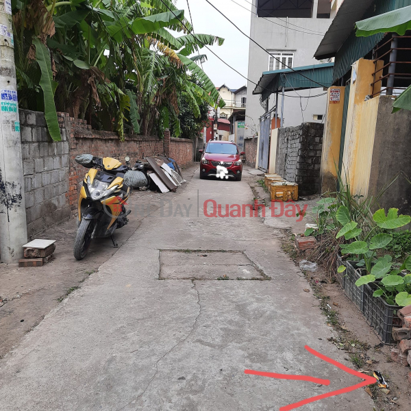 Property Search Vietnam | OneDay | Residential, Rental Listings The owner needs to rent a house on Hoang Minh Thao street, Le Chan, Hai Phong