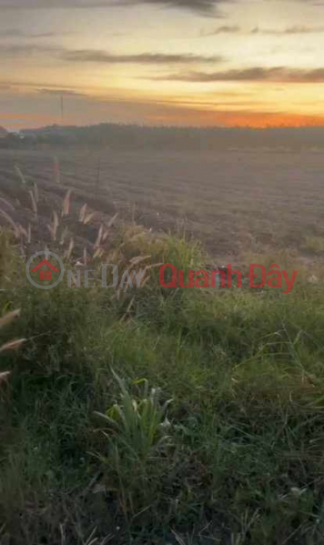 đ 8 tỷ | - Bán 13.000m² đất Ninh Sơn, QH thổ cư, mặt tiền 86m