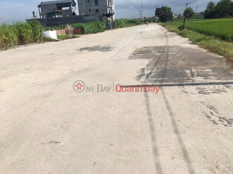 Property Search Vietnam | OneDay | Nhà ở Niêm yết bán | BÁN ĐẤT 90 m2 ĐẤU GIÁ ĐÌNH TỔ – THUẬN THÀNH, BẮC NINH - LH 0985865658