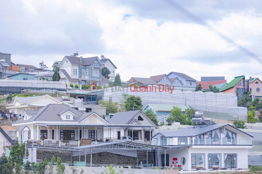 CHO THUÊ VILLA TRẠI MÁT P11 ĐÀ LẠT - HỒ BƠI NƯỚC NÓNG, BÃI ĐẬU XE, VIEW ĐỈNH - 40TR Niêm yết cho thuê