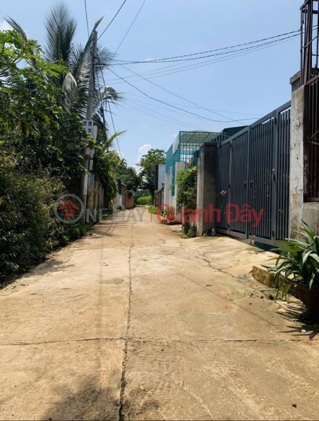Property Search Vietnam | OneDay | , Niêm yết bán Đất trung tâm gần kề nhiều tiện ích