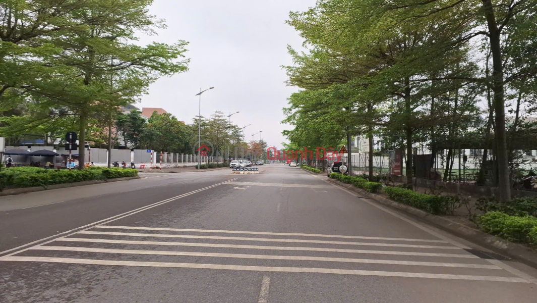 ĐẤT PHÂN LÔ NGUYỄN VĂN LINH MẶT NGÕ Ô TÔ- KINH DOANH 90M2 14.5 TỶ. | Việt Nam, Bán đ 14,5 tỷ