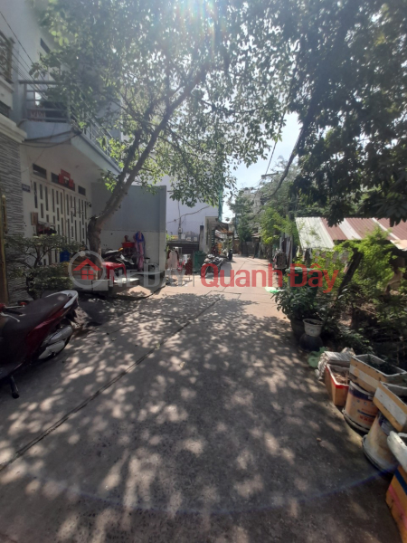 House for sale 146m2 HXH 1 street address Provincial Road 10 Ward Binh Tri Dong A Price 8 billion Vietnam Sales ₫ 8 Billion