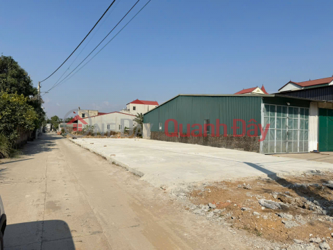 Selling 100m2 of land in group 9, Quang Minh town, Me Linh. Corner lot, 2 frontages, asphalt road, sidewalk _0