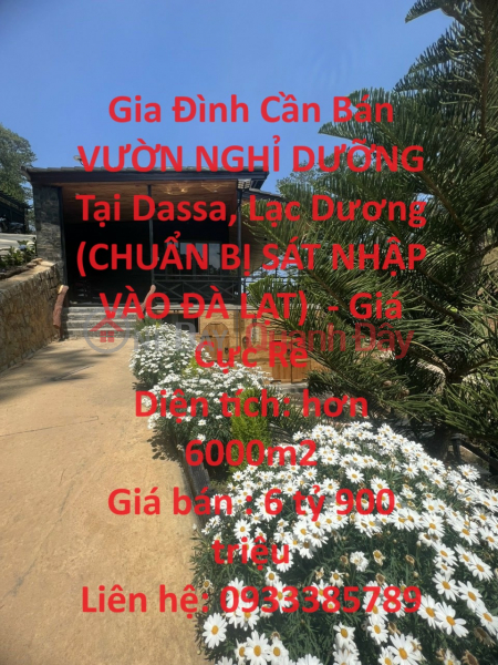 Gia Đình Cần Bán VƯỜN NGHỈ DƯỠNG Tại Dassa, Lạc Dương (CHUẨN BỊ SÁT NHẬP VÀO ĐÀ LẠT) - Giá Cực Rẻ Niêm yết bán