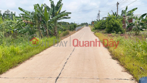 ORIGINAL LAND - CASH - GOOD PRICE In Xuan Dong Commune, Cam My District, Dong Nai Province _0