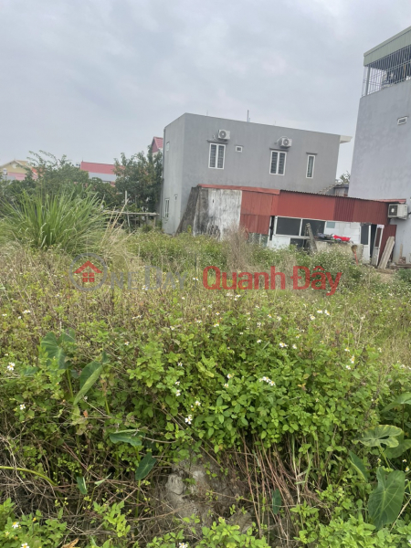 Property Search Vietnam | OneDay | Residential, Sales Listings | Urgent sale of land plot of 54m², lane 3m at 312 Cat Linh, Trang Cat, Hai An.