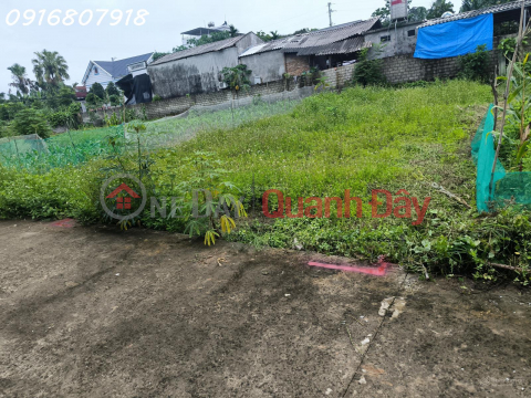 Siêu phẩm - Lô đất siêu đẹp đường Tỉnh Lộ 317C, Xã Thắng Sơn, Phú Thọ, giá đầu tư _0