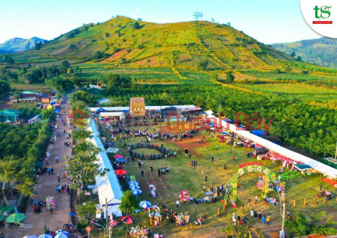 OWNER SELLING 1,211M2 LAND WITH TITLE DEED IN THE WILD SUNFLOWER FESTIVAL AREA OF CHU DANG YA VOLCANO. _0