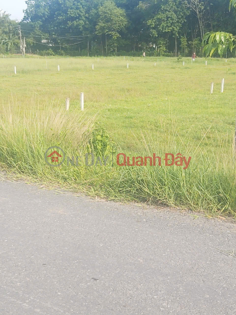 OWNER'S LAND 5x54m2 Front of Luc Vien asphalt road, Duc Lap Ha, Duc Hoa _0