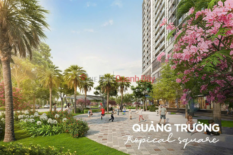 đ 3 Billion, Shop on the 5th floor of the Sentosa Vinhomes podium block, the most prestigious corner unit in the subdivision.