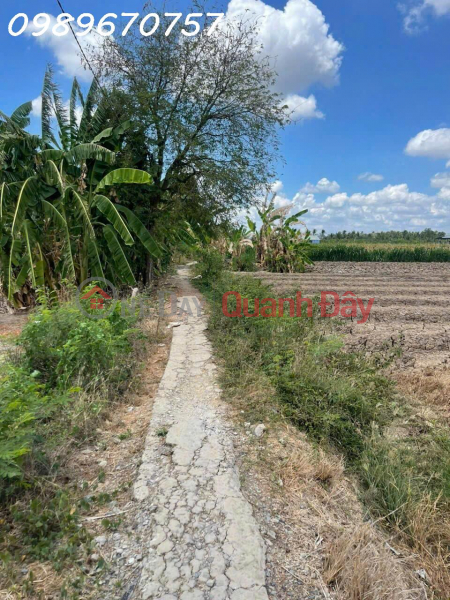  Làm ơn chọn, Nhà ở | Niêm yết bán, đ 2,4 tỷ