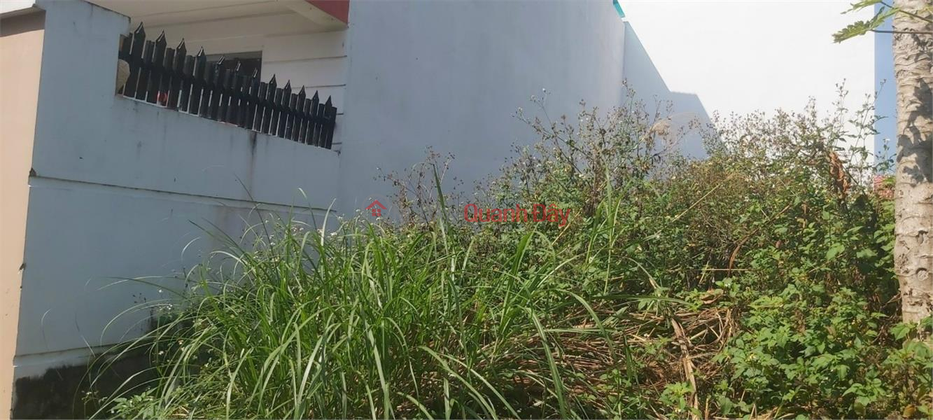 Beautiful Land - Good Price - Owner Needs to Sell Land Lot in Beautiful Location in Dien Khanh Town, Khanh Hoa Vietnam, Sales đ 870 Million