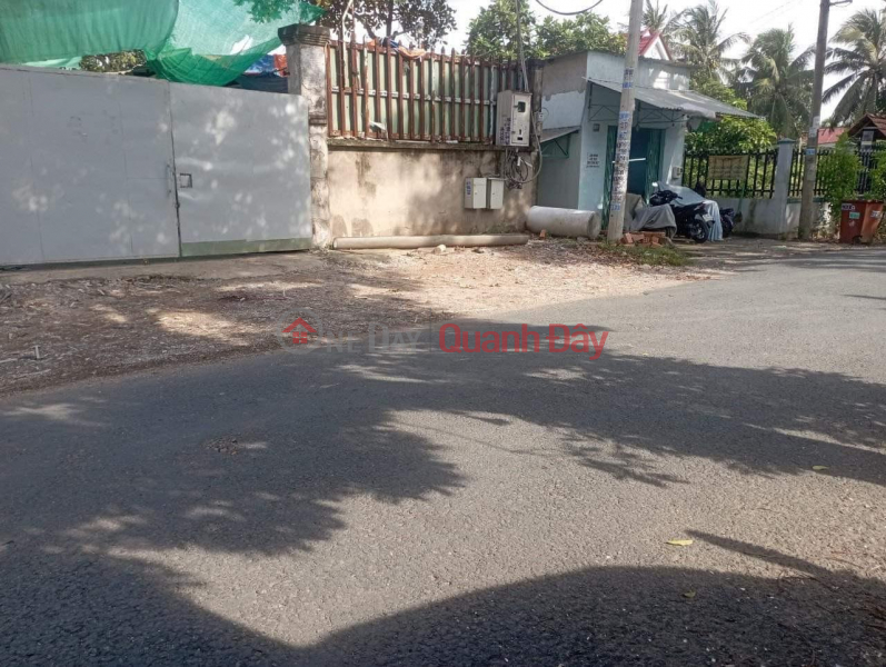 BEAUTIFUL LAND - GOOD PRICE - Land Lot For Sale Prime Location In Binh Chanh District - HCM Sales Listings